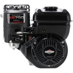 1062320272F1 Briggs & Stratton, Complete engines 