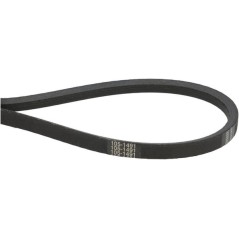 1000159924 Weidemann, Weidemann