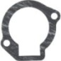 Gasket - 110602099 Gasket - 110602099