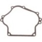 Gasket - 110602060