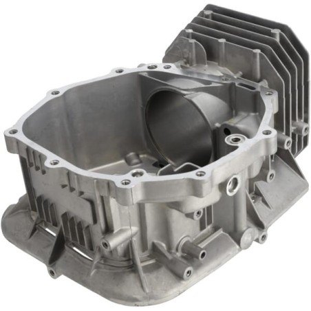 Crankcase body - 1108101670001