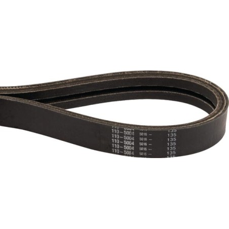 V-belt Toro - 1105004