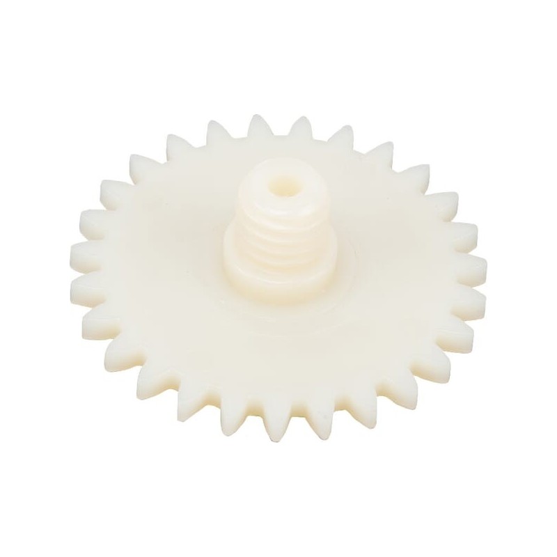 Ślimak - 11166471806 Ślimak - 11166471806