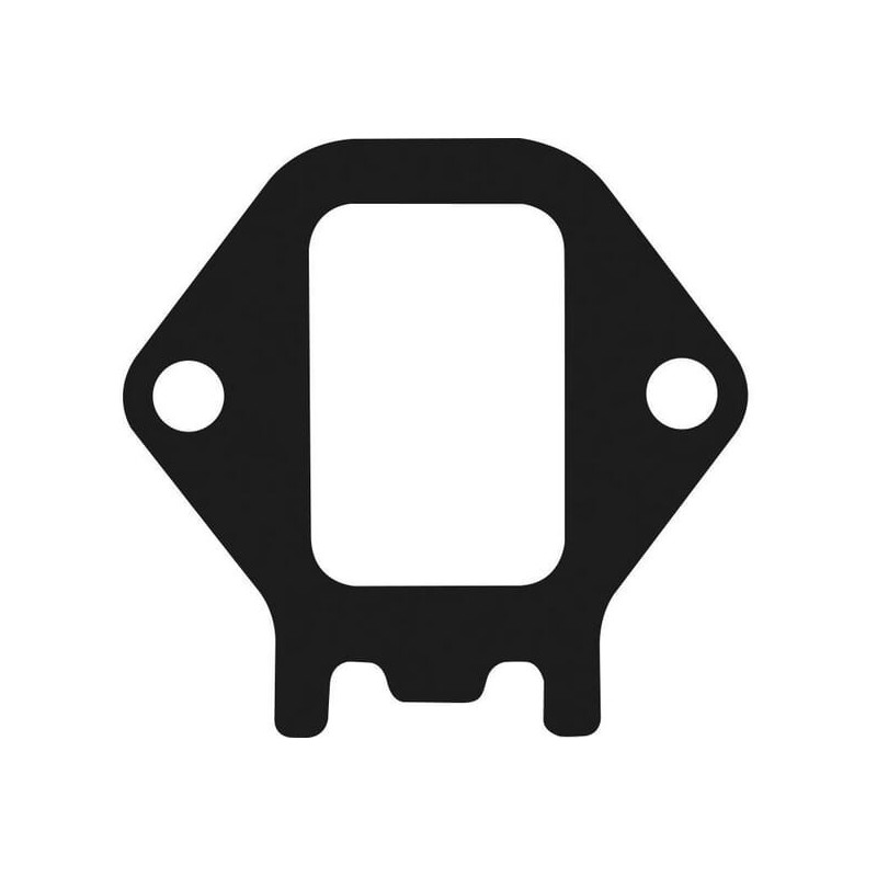 Gasket - 110610877