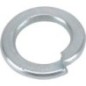 Compression ferrule - 1125879000