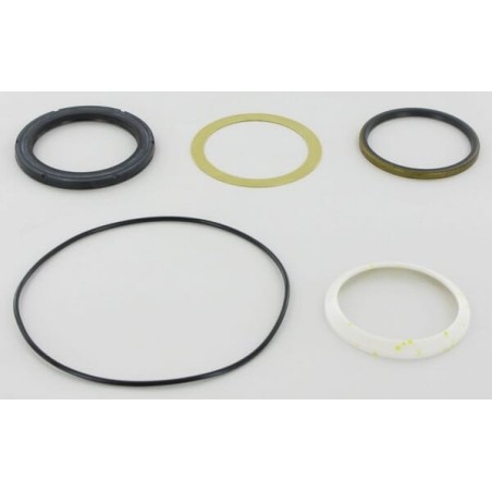 Seal kit CHAR LYNN 4000 SERI - 1099AFD