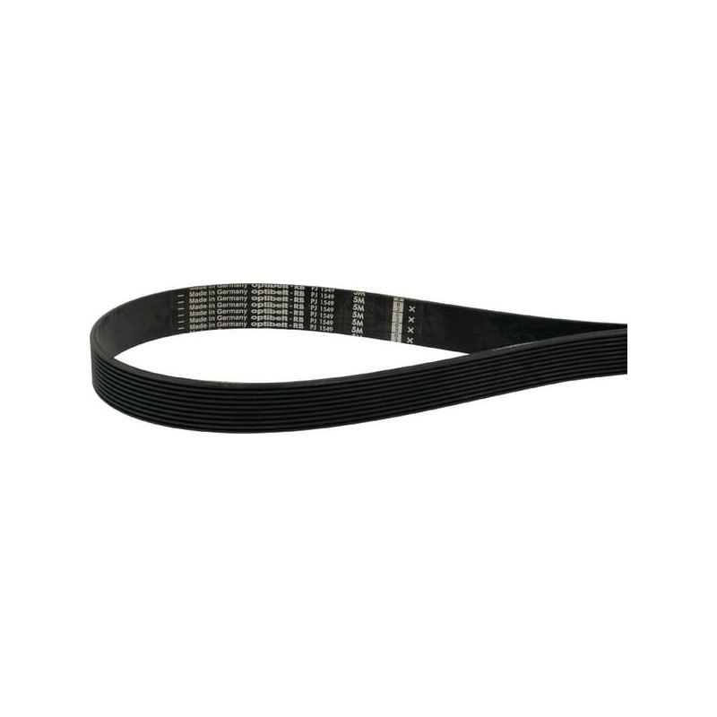 Rippenband - 10PJ660 Rippenband - 10PJ660