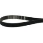 Rippenband - 10PJ660 Rippenband - 10PJ660