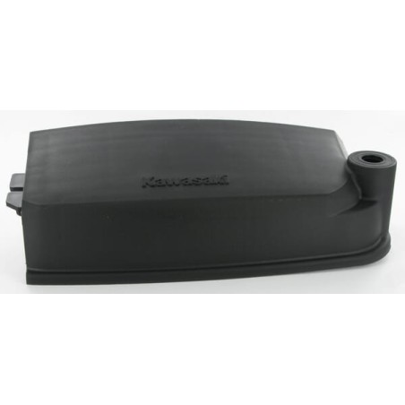 Air filter cover - 110117028