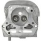 Cylinder head - 110086043 Cylinder head - 110086043