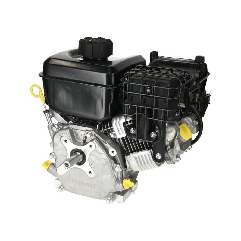 Engine, horizontal, 5 HP, Vanguard, Briggs Stratton - 10V3320007F1