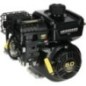Engine, horizontal, 5 HP, Vanguard, Briggs Stratton - 10V3320007F1
