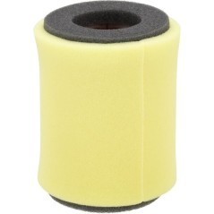 Air Filter element - 110131263