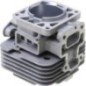 Engine cylinder - 110050679 Engine cylinder - 110050679