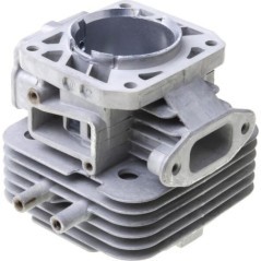 Motorzylinder - 110050679