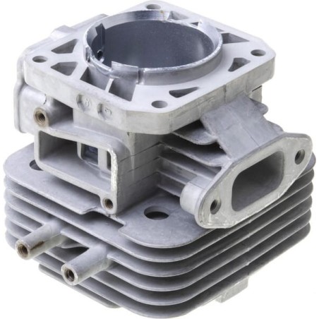 Engine cylinder - 110050679