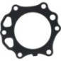 Head Gasket - 110042106 Head Gasket - 110042106