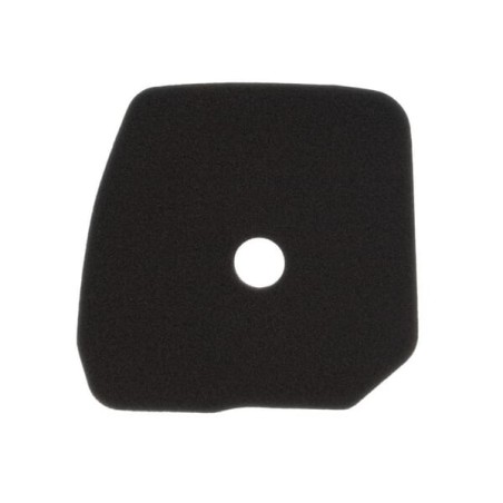 Air filter Kawasaki - 110132242
