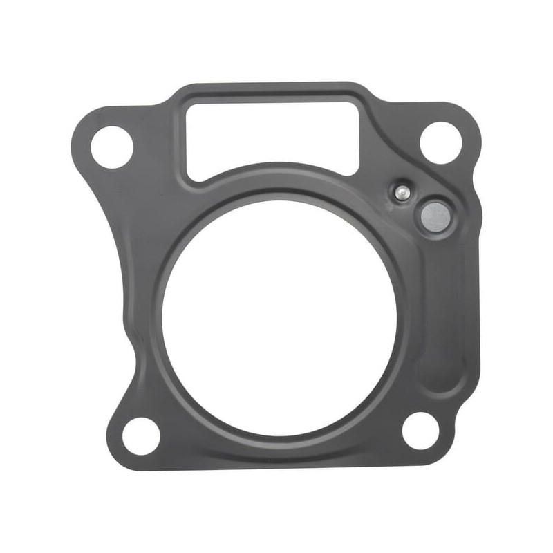 Head gasket - 110042147