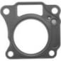 Head gasket - 110042147