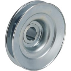 Engine pulley - 1137008101