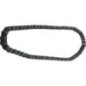 Roller chain - 1134777101 Roller chain - 1134777101