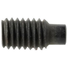 1127143120 Castelgarden, Screws and nuts 