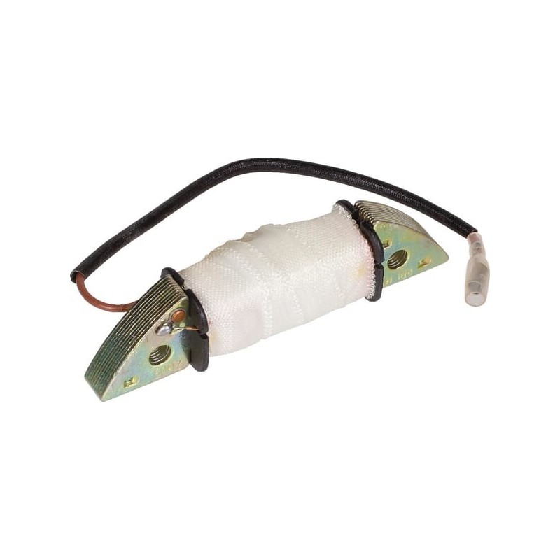 Alternator stator RM65ES - 1185504200 Alternator stator RM65ES - 1185504200