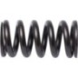 Druckfeder - 1169998