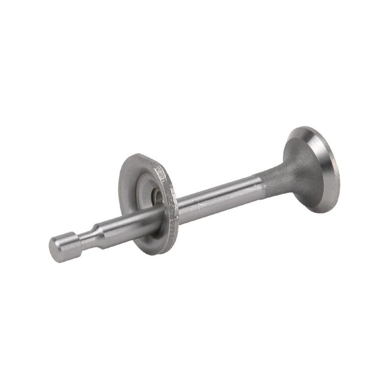 Auslassventil RS100 - 1185506920 Auslassventil RS100 - 1185506920