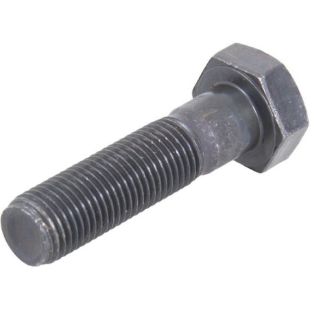 Hex Head Screw 10.9 - 11422030N