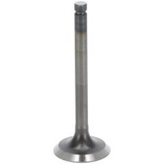 Cylinder head and timing system – produkty dostępne w rolniczeczesci.pl