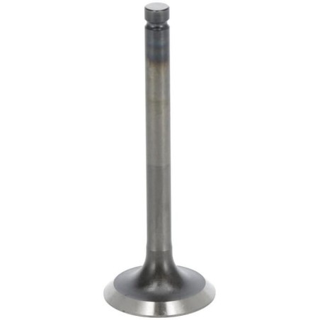 Cylinder head and timing system – produkty dostępne w rolniczeczesci.pl