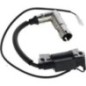Ignition coil - 1185514380