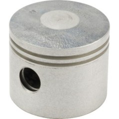 1188017930 Castelgarden, Engine parts 