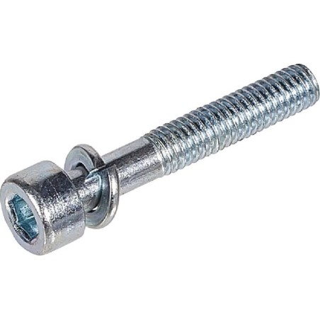 Schraube TX M5x23 - 1188015730