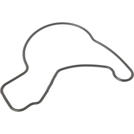 O-ring - 1200292