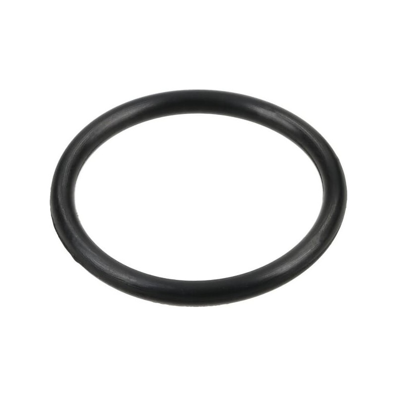O-Ring - 12100037