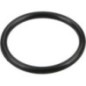 O-Ring - 12100037