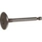 Intake valve - 120042101 Intake valve - 120042101