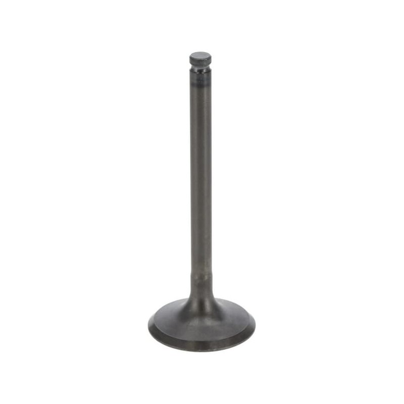 Intake valve - 120042093 Intake valve - 120042093