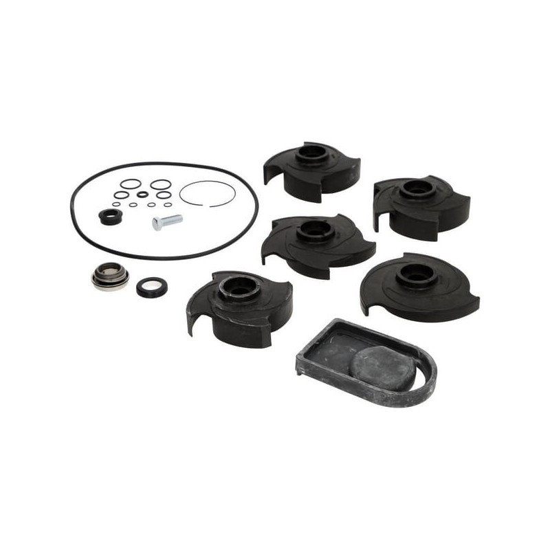 Repair kit 2 inch Poly pump - 12000A Repair kit 2 inch Poly pump - 12000A