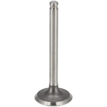 Intake Valve - 120042122