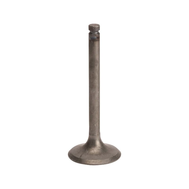 Intake valve - 120042113