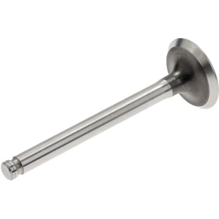 Exhaust valve - 120057001