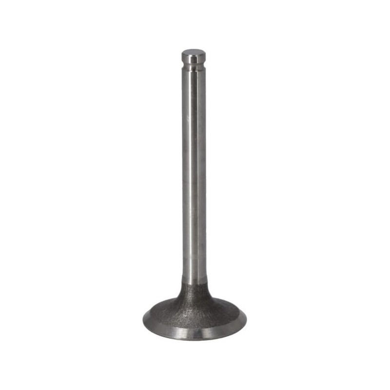 Zawór ssący - 120047001