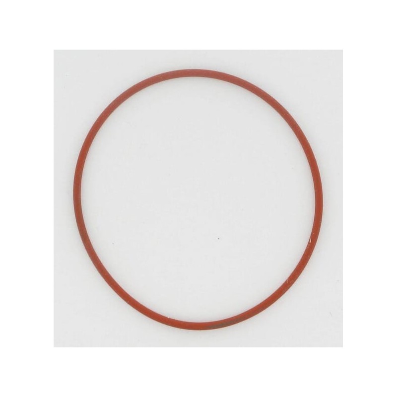 O-Ring - 1200234