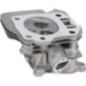 Cylinder head - 1200802760001 Cylinder head - 1200802760001