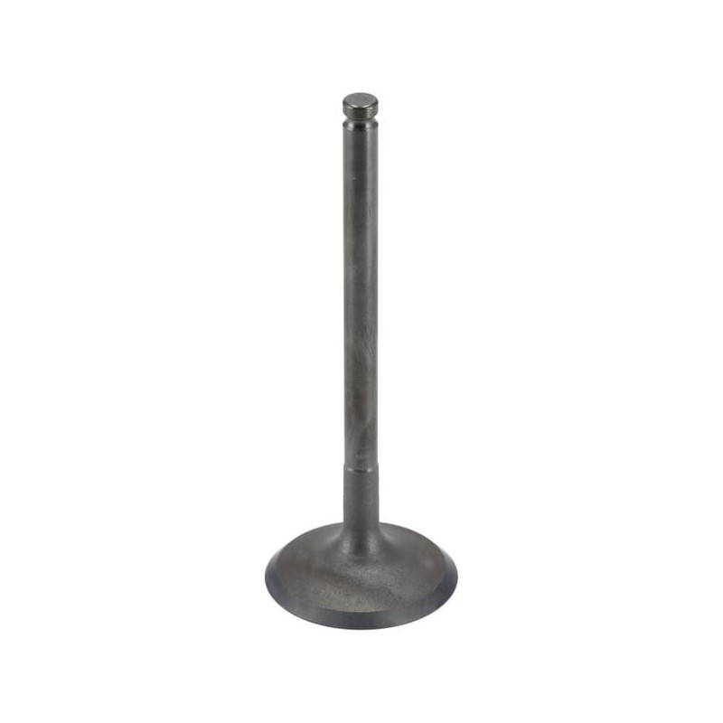 Intake Valve - 120040733