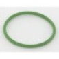 O-Ring - 1200087WX